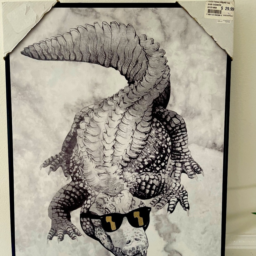 Framed Alligator Canvas Wall Art, 16x20 $29.99